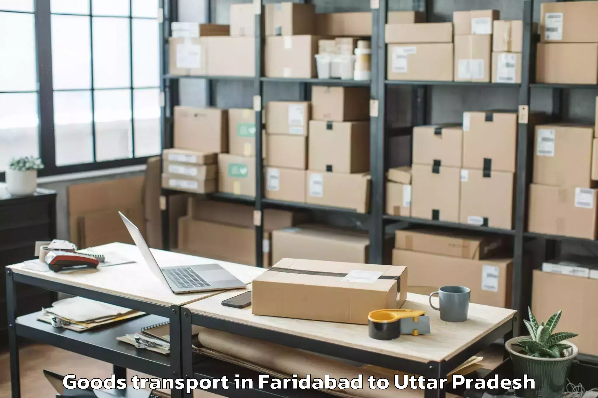 Faridabad to Meja Goods Transport